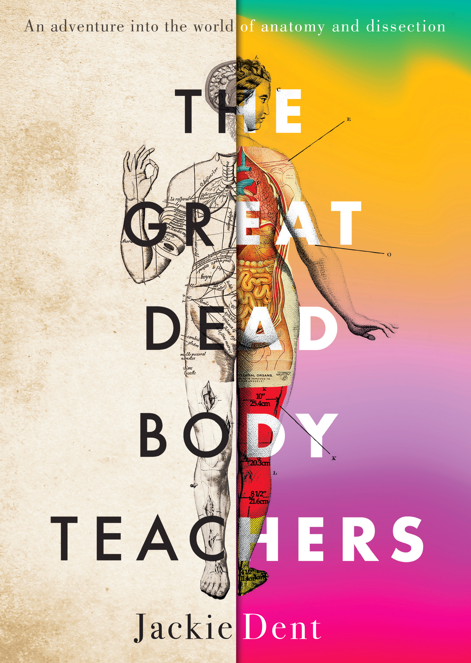 The Great Dead Body Teachers by Jackie Dent