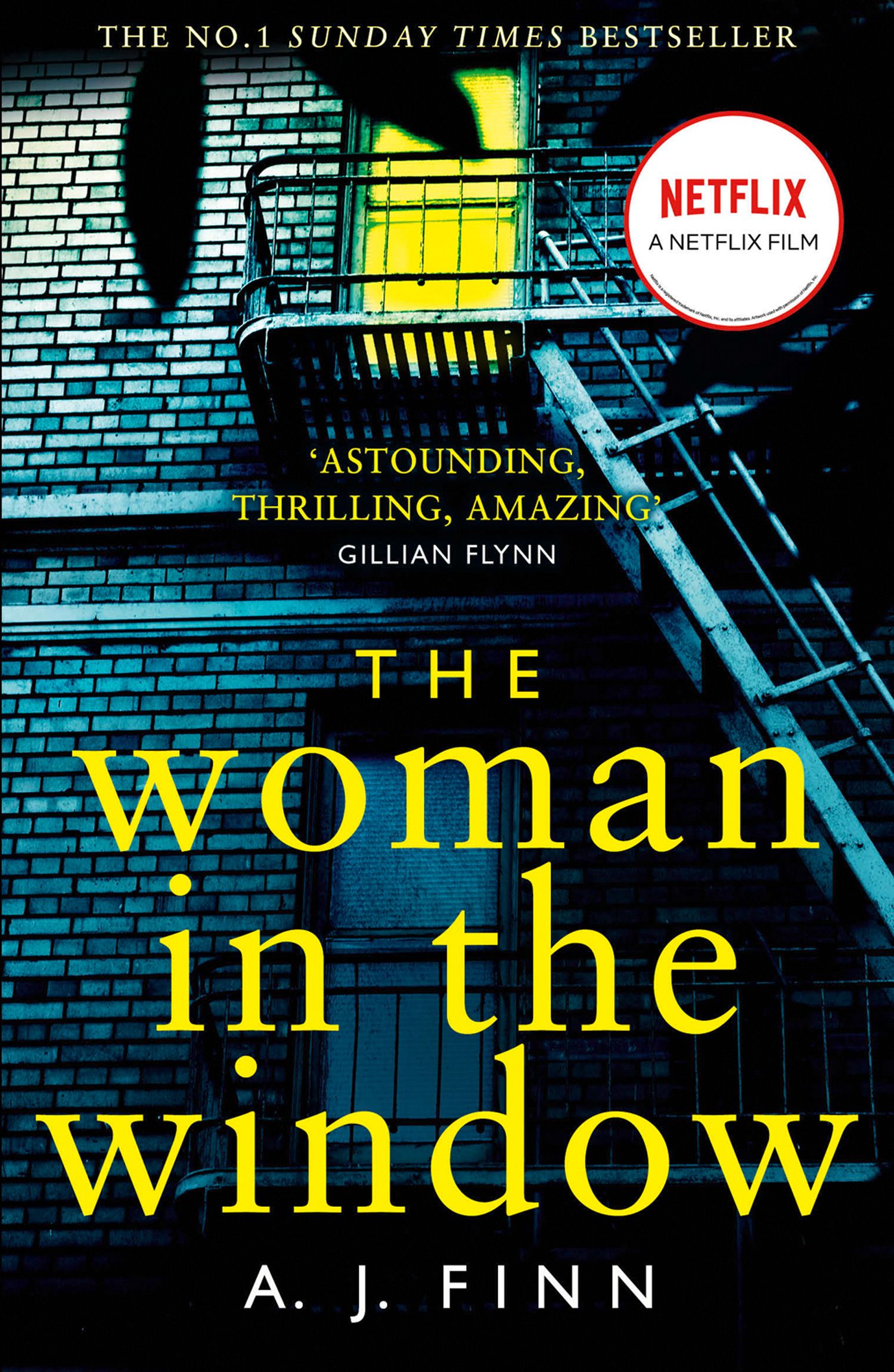 The Woman in the Window by A J Finn
