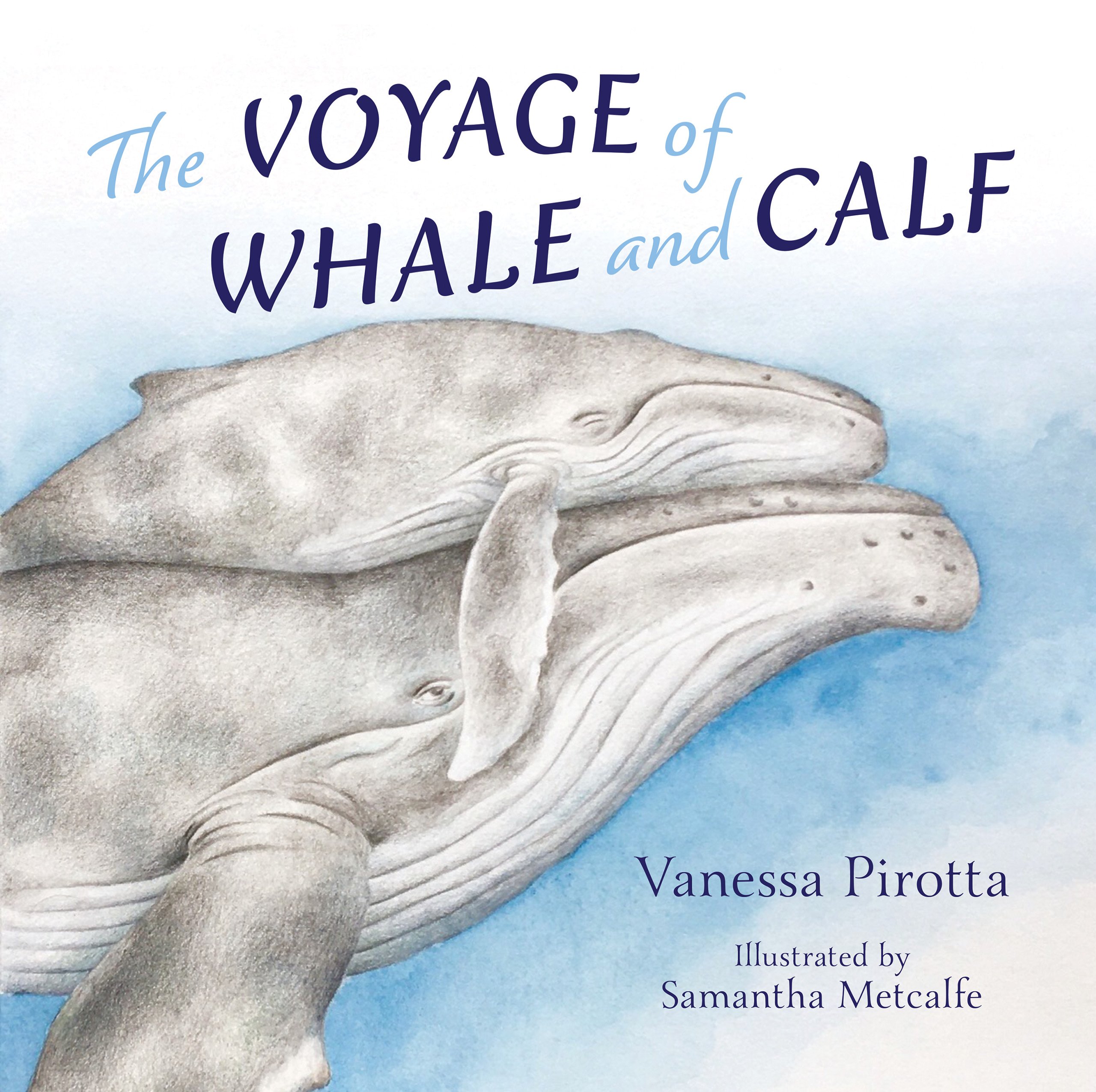 The Voyage of Whale and Calf by Vanessa Pirotta