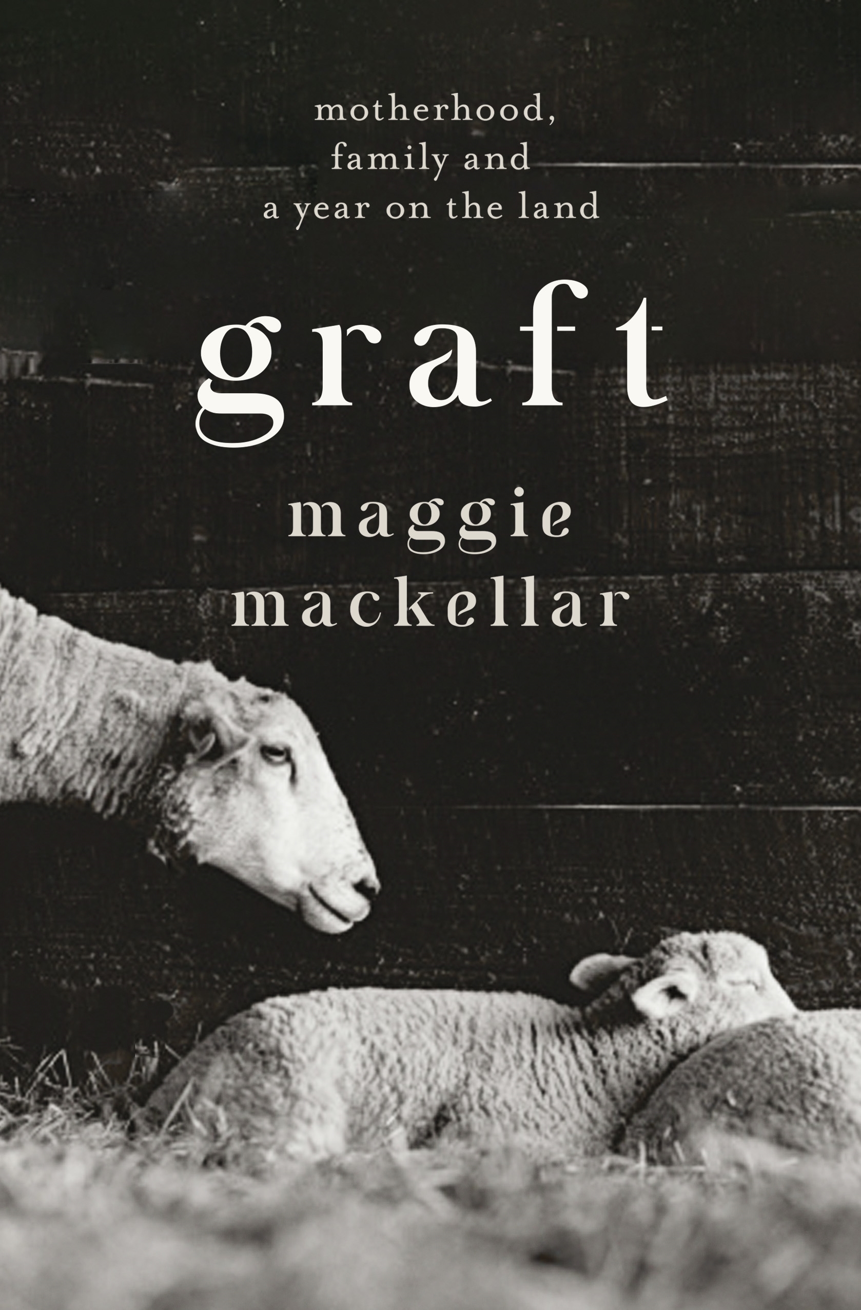 Graft: Motherhood, family and a year on the land by Maggie Mackellar