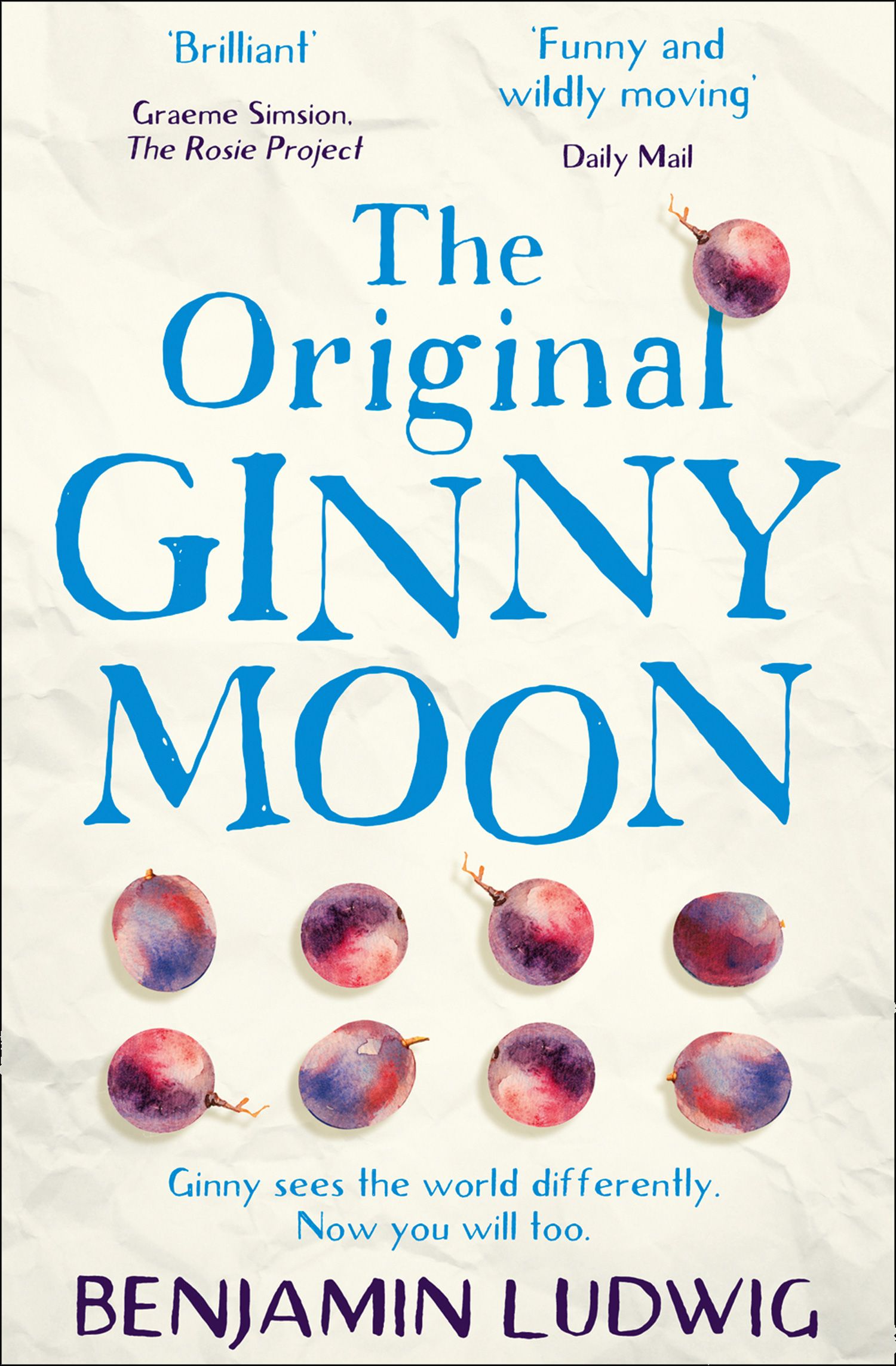 Ginny Moon by Benjamin Ludwig