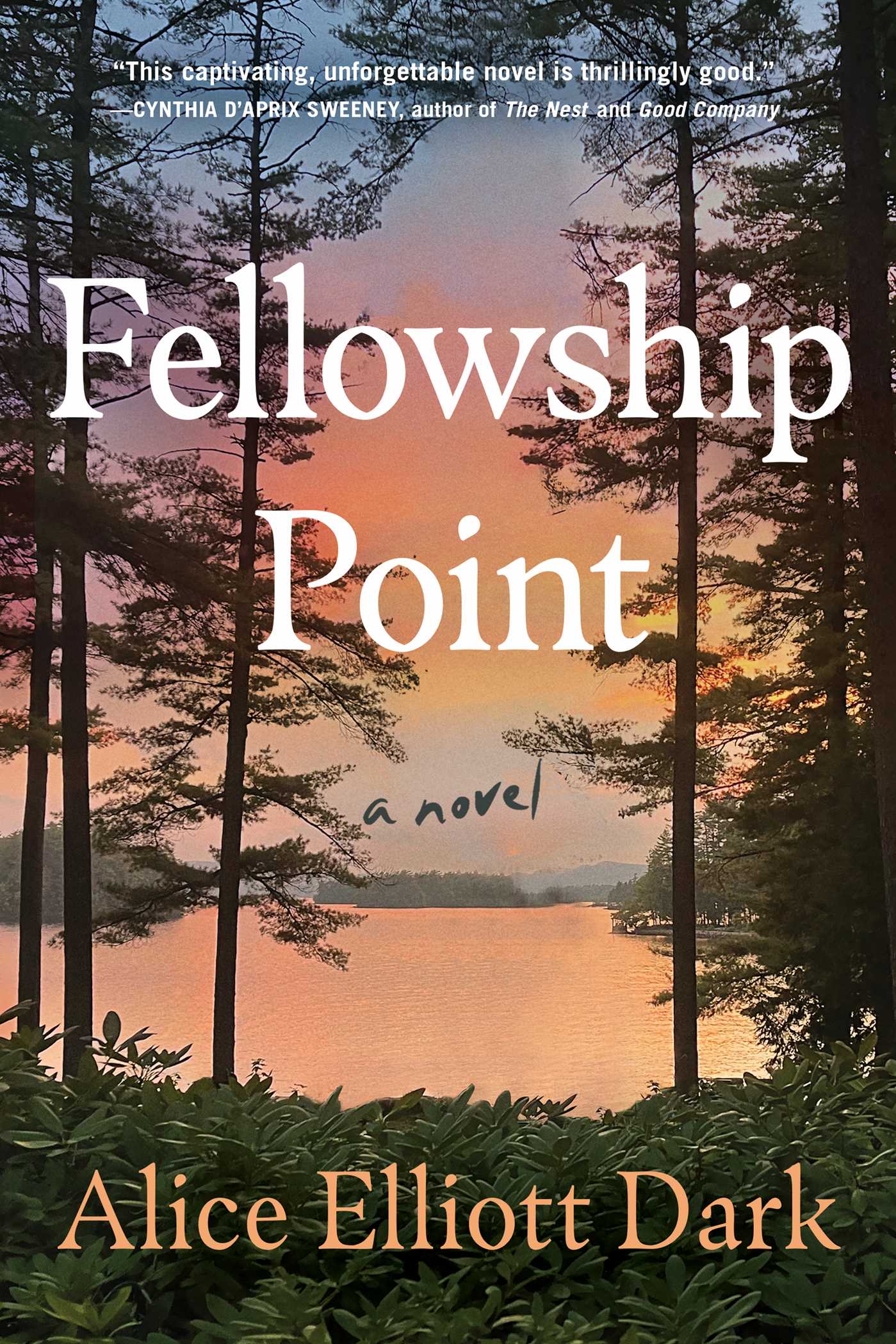 Fellowship Point by Alice Elliott Dark