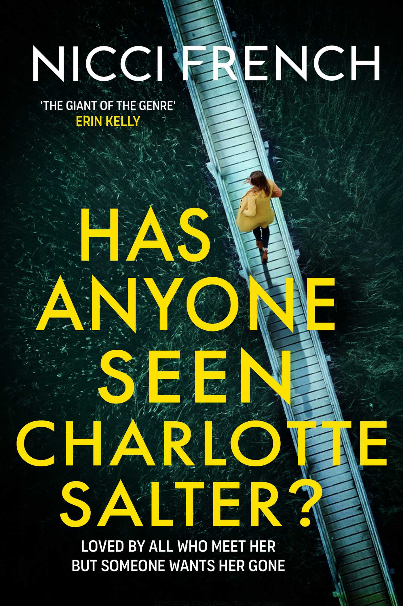 Has Anyone Seen Charlotte Salter? by Nicci French