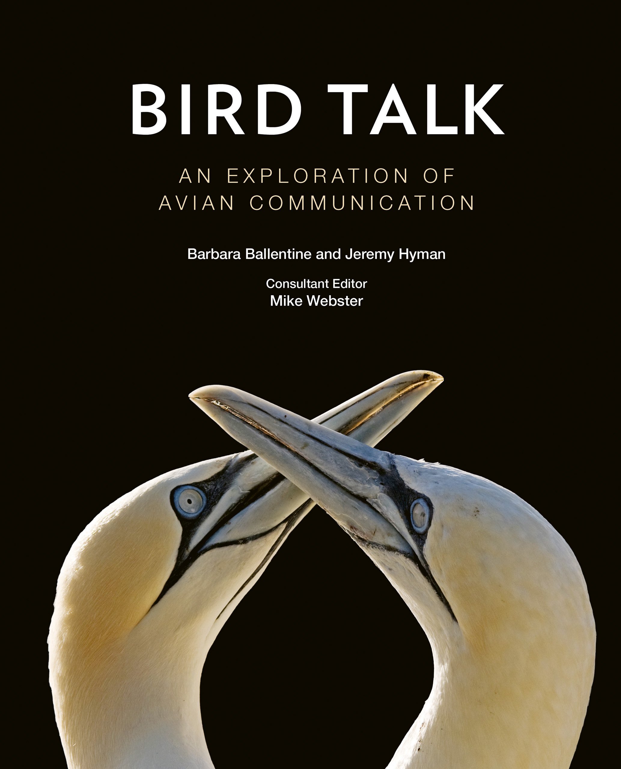 Bird Talk by Barbara Ballentine, Jordan Hyman