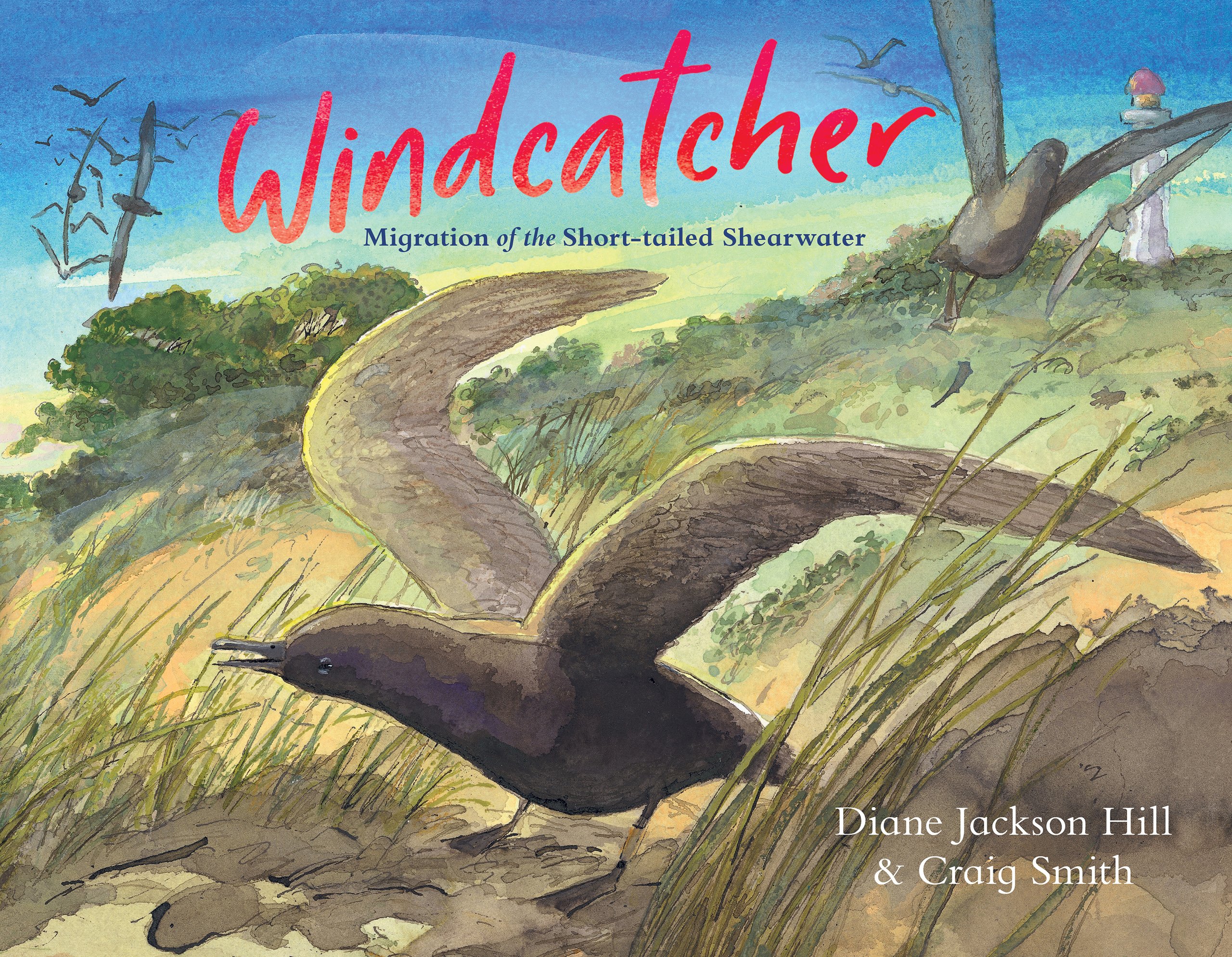 Windcatcher: Migration of the Short-tailed Shearwater by Diane Jackson Hill
