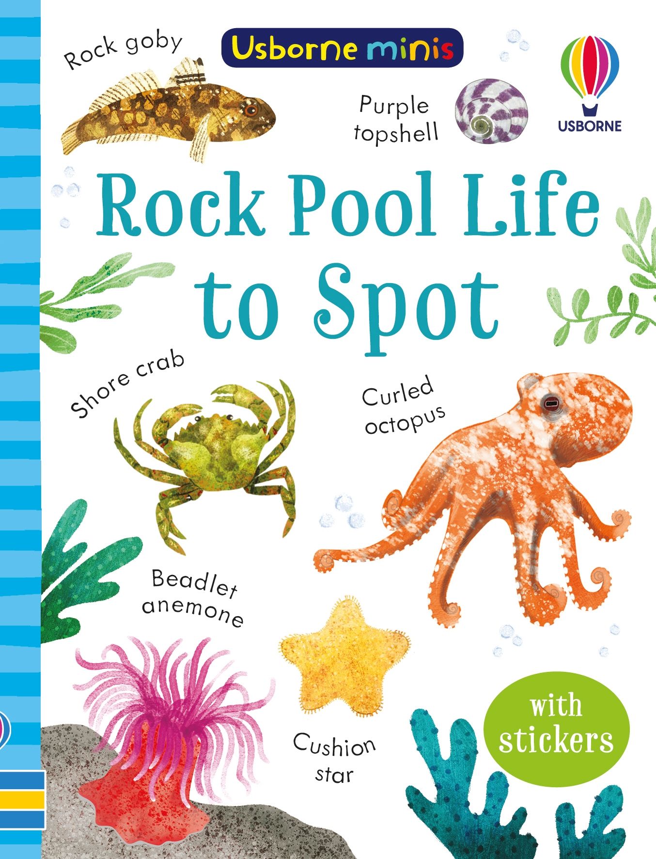 NEW BOOK Rock Pool Life to Spot by Simon Tudhope (2023) - Picture 1 of 1
