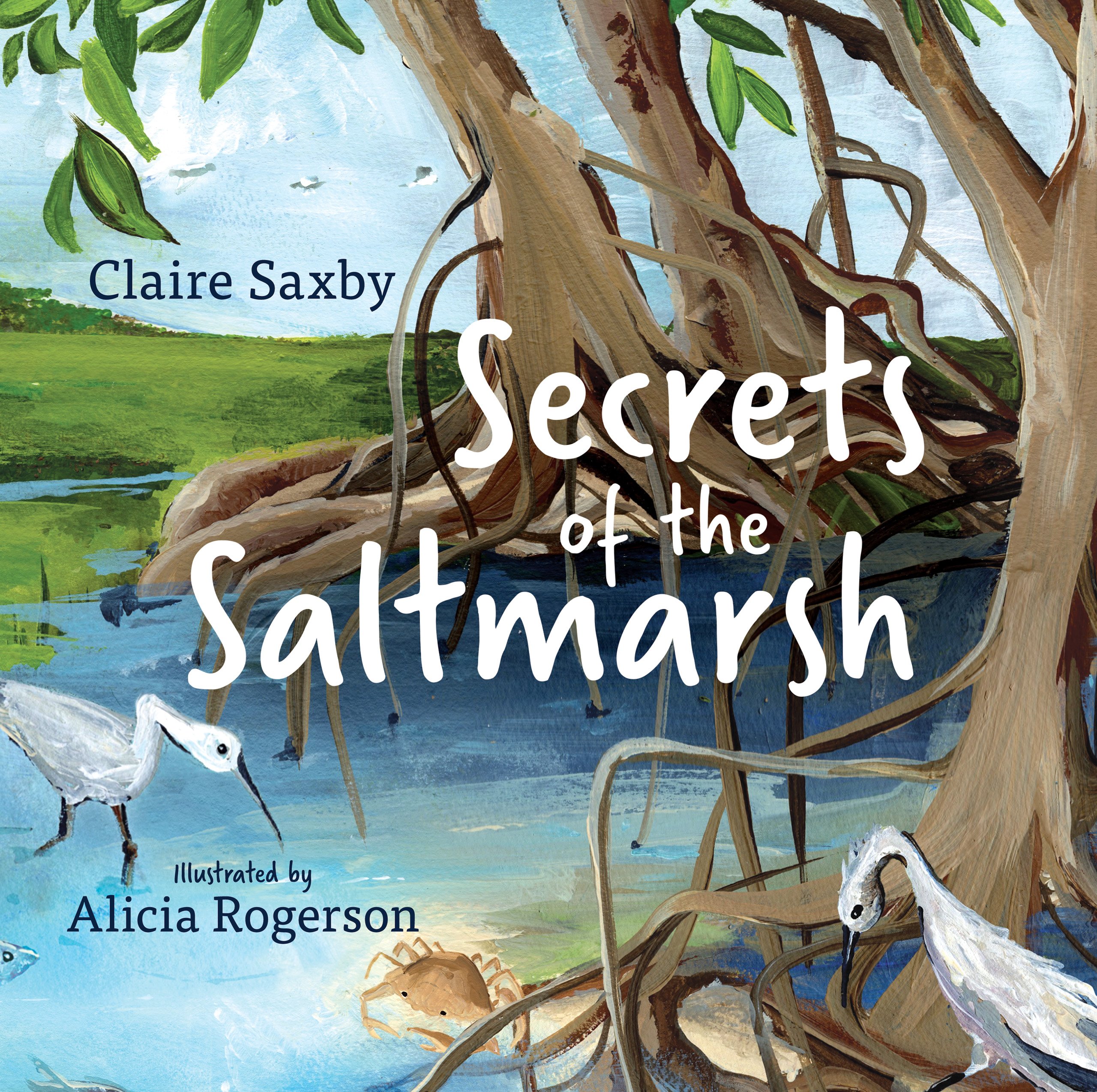 Secrets of the Saltmarsh by Claire Saxby