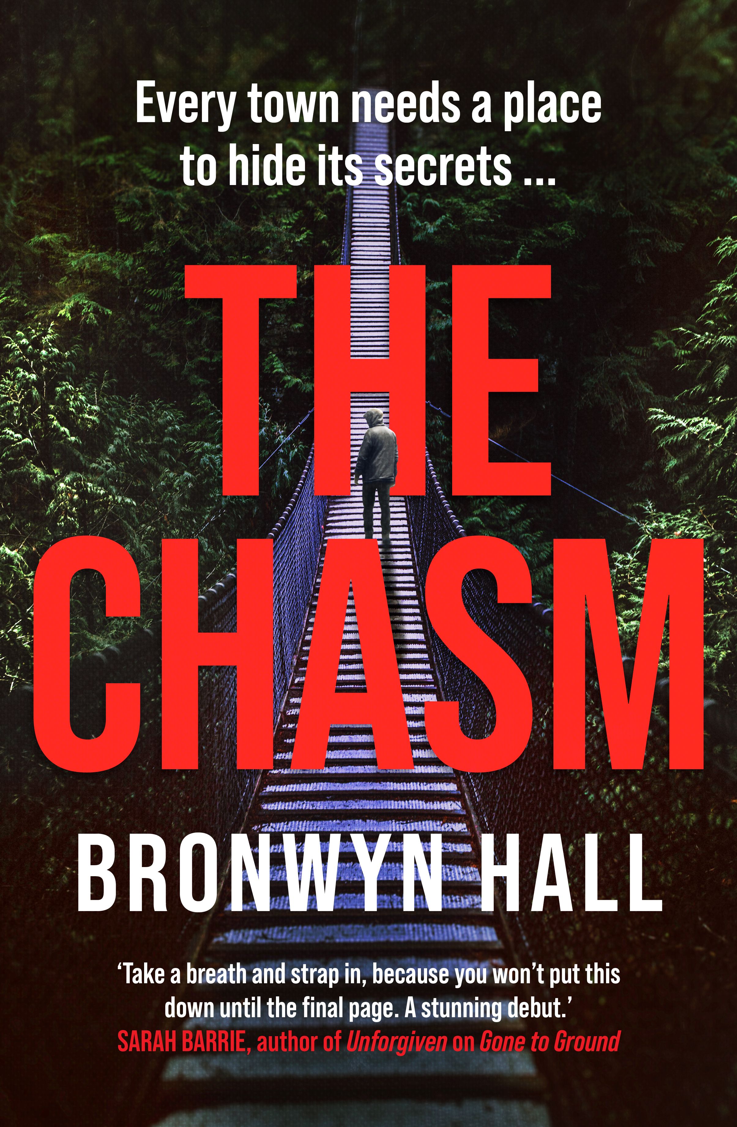 The Chasm by Bronwyn Hall