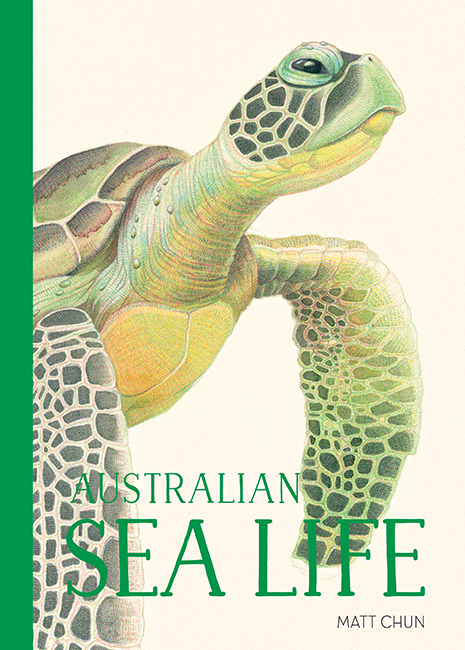 Australian Sealife by Matt Chun