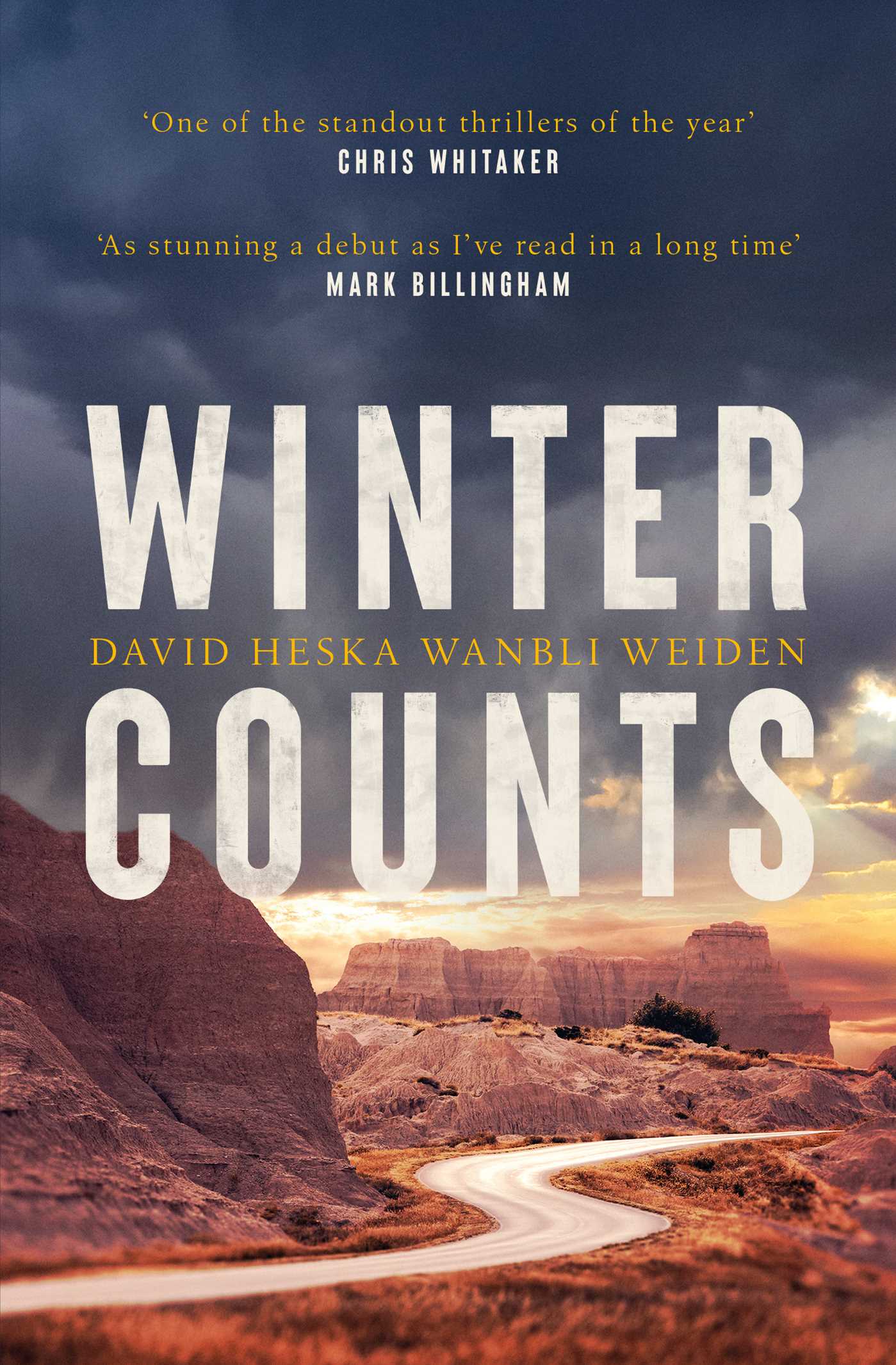 Winter Counts by David Haska Wanble