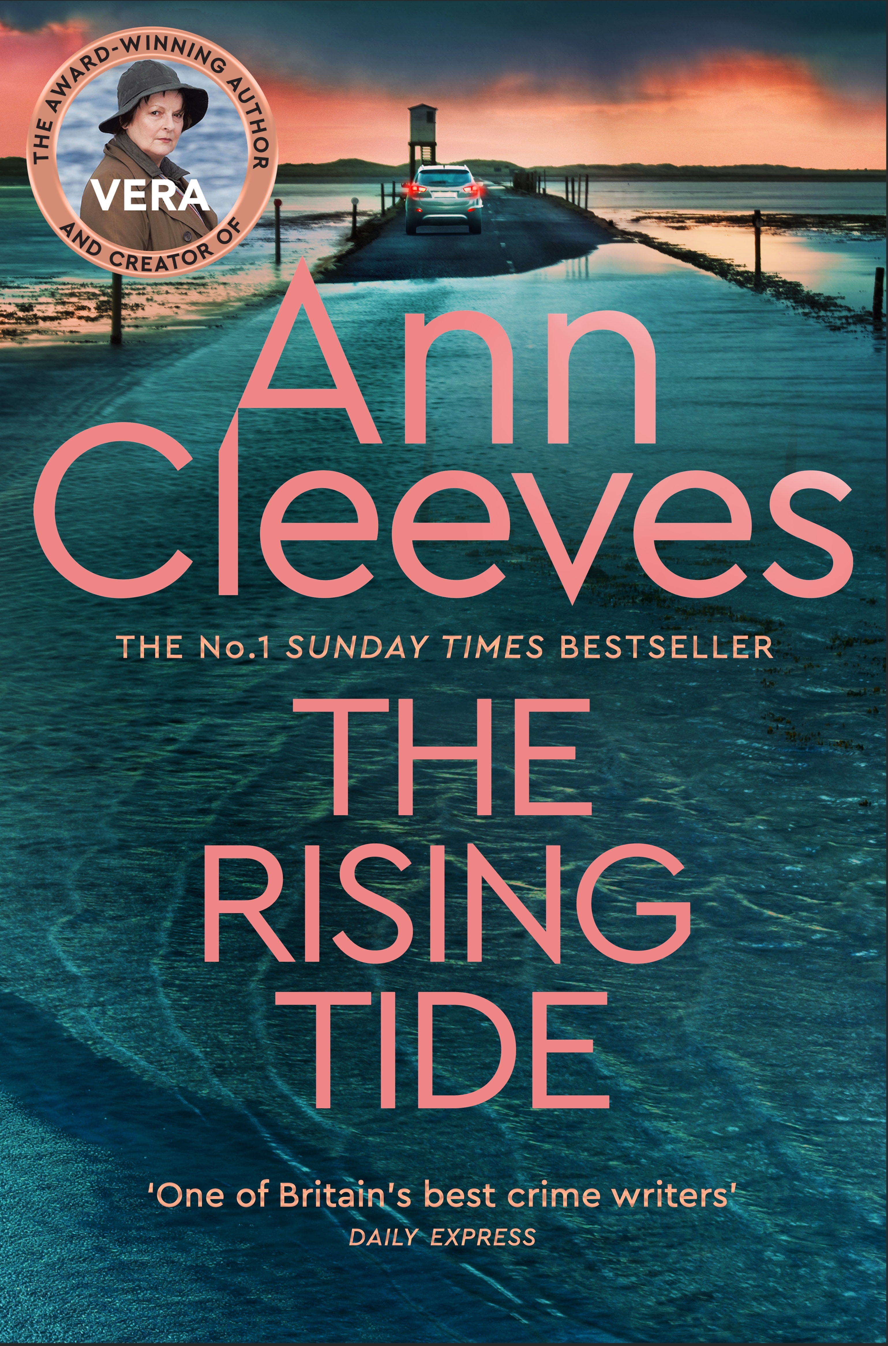 The Rising Tide by Ann Cleeves